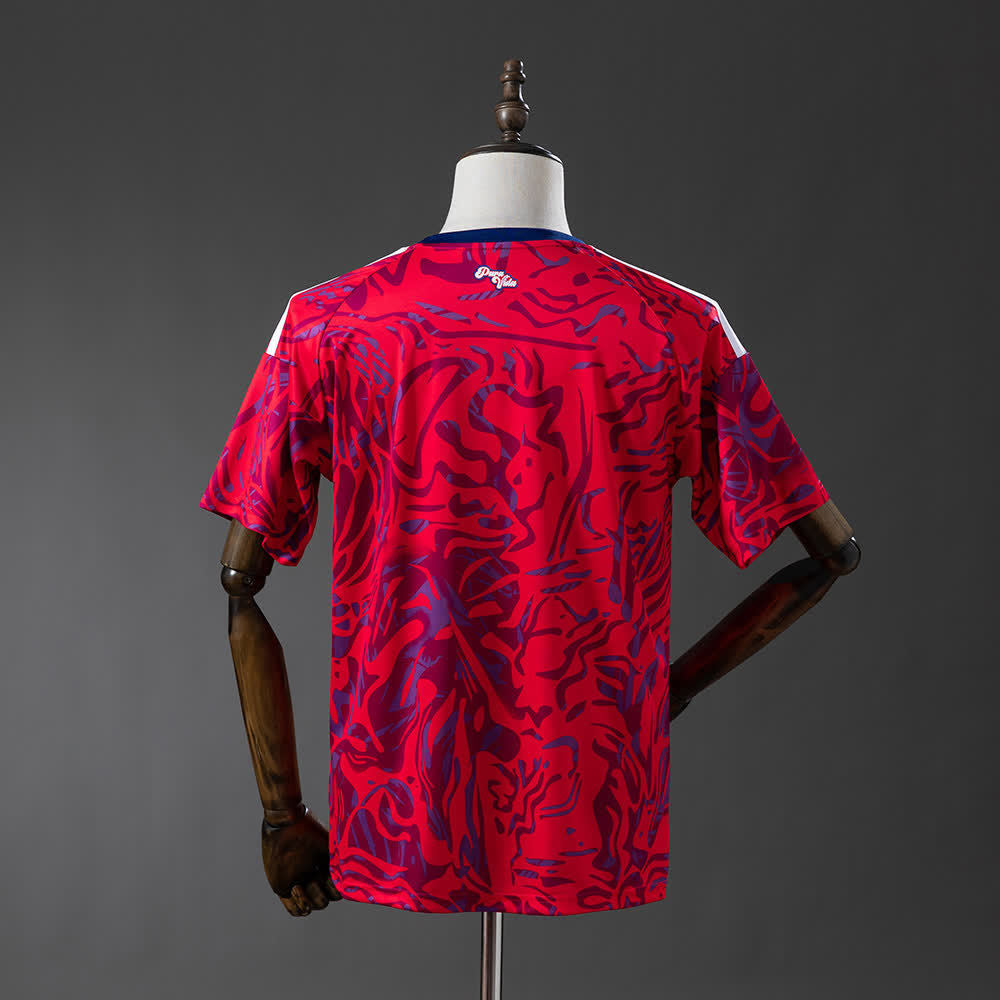 Camiseta Costa Rica 2ª Equipación 2026